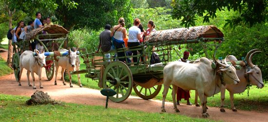 Hiriwaduna Trek